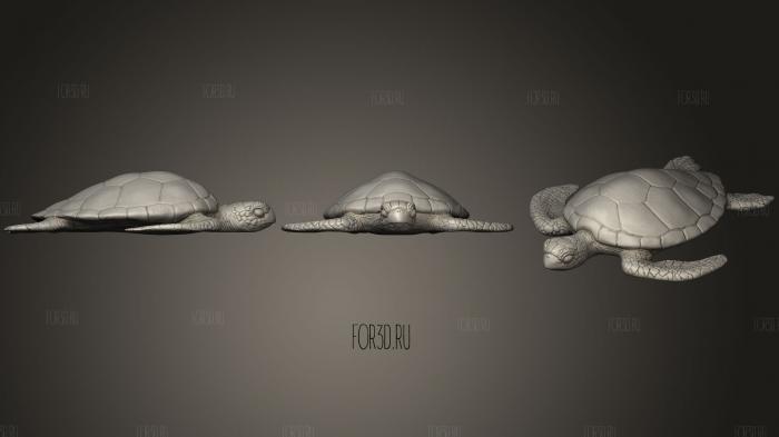 Sea Turtle (1) 3d stl модель для ЧПУ